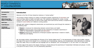 Cultural Safety Modules